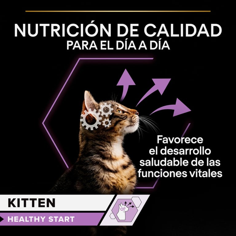Pouch Kitten Healthy Start Dinde - imagen 3 de 7