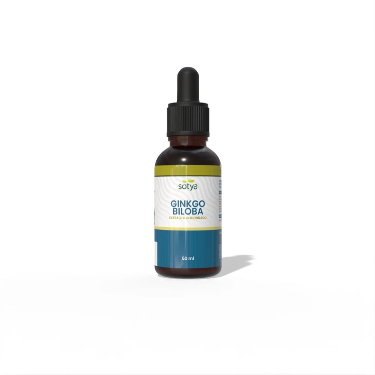Ginkgo Biloba Extrakt