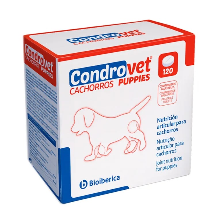 Condrovet Chiots
