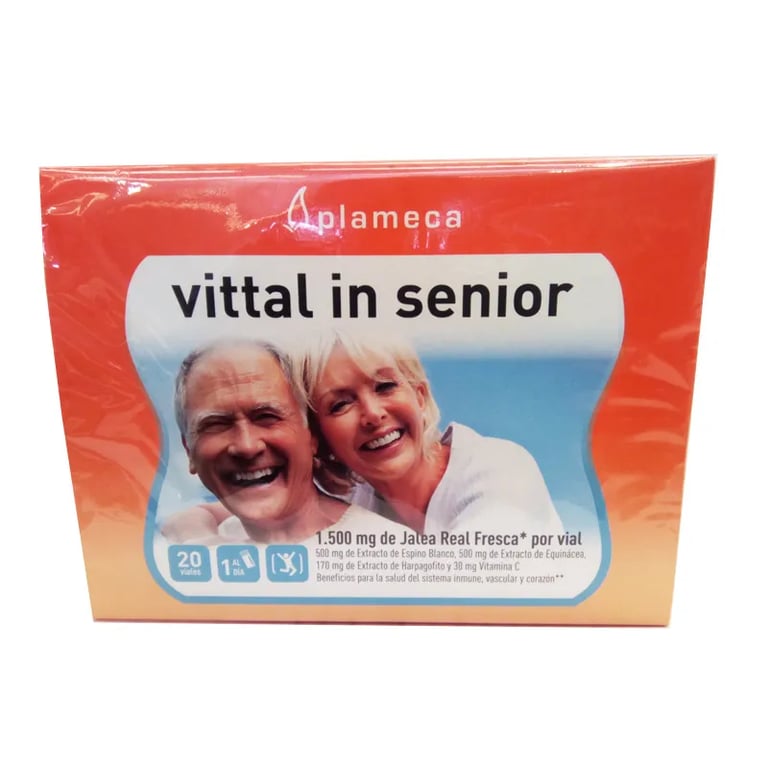 VITTAL IN SENIOR