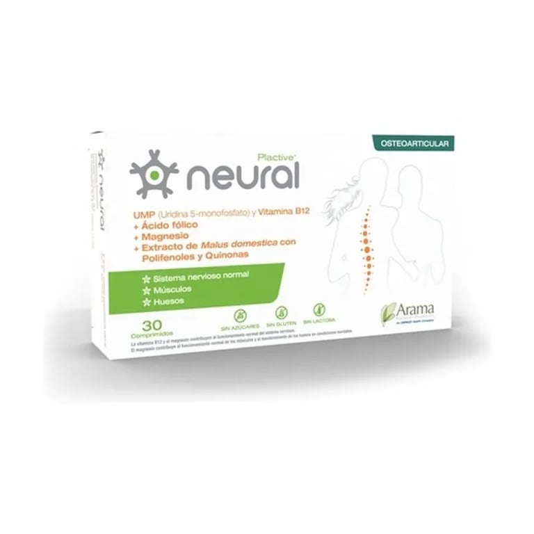Neural Plactive