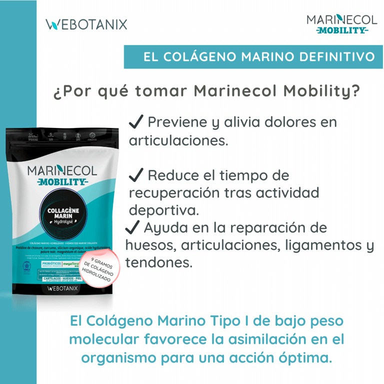 Mobility - imagen 9 de 13
