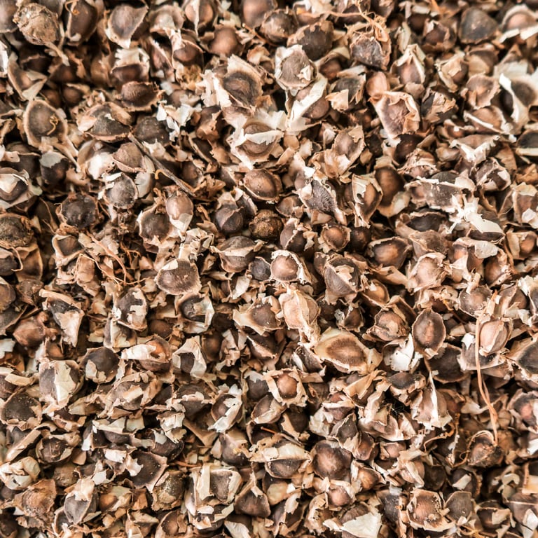 Wildes Moringa Reines Öl - imagen 2 de 3