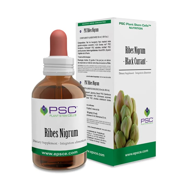 Psc Ribes Nigrum