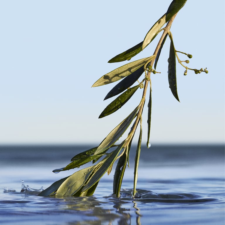 Boss Bottled Infinite EDP 50 ml di Hugo Boss