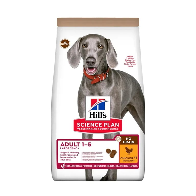 Perro Adulto Largo No Grain Pollo