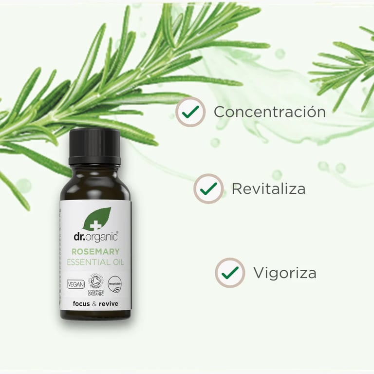 Rosmarin Cineol Ätherisches Öl Bio Rein - imagen 2 de 4