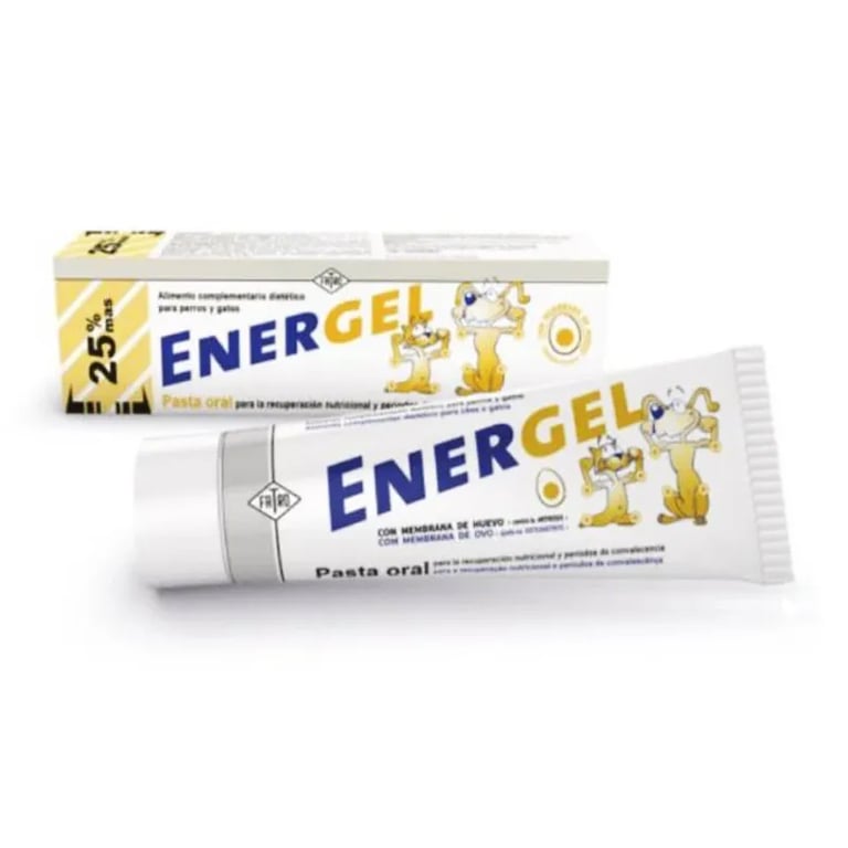 Energel Pasta Oral