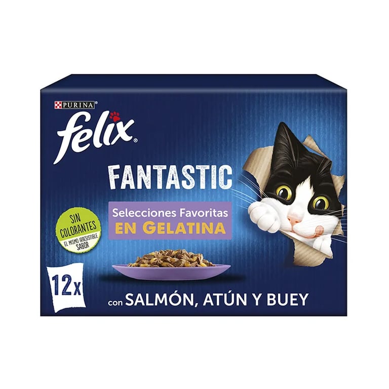 Fantastic Selecciones Favoritas En Gelatina
