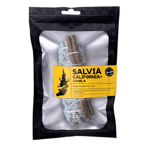 Sauge Californie Cannelle 10 cm