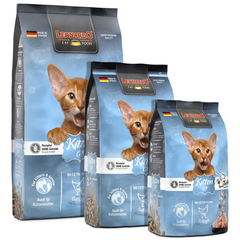 Kitten Sin Cereales - imagen 3 de 6