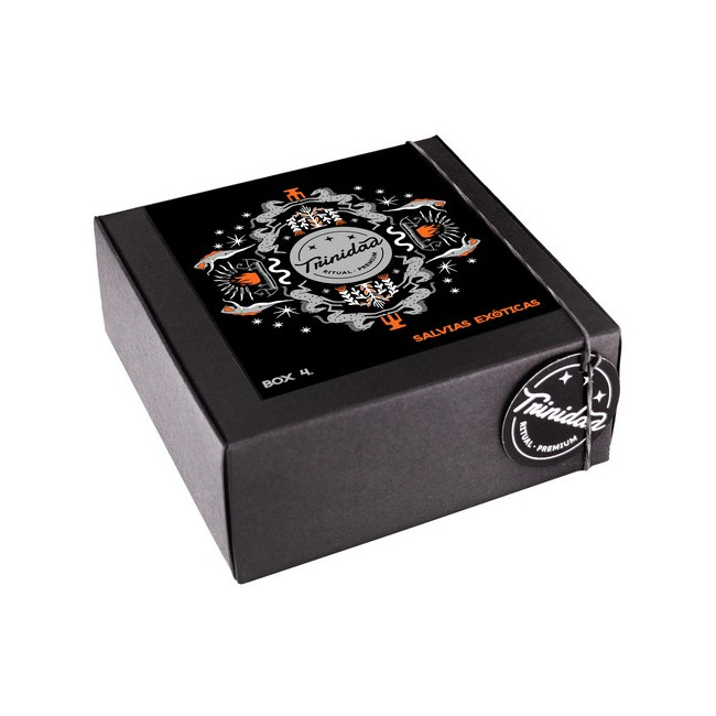 Tri Box 4 Exotische Salbei - imagen 3 de 5