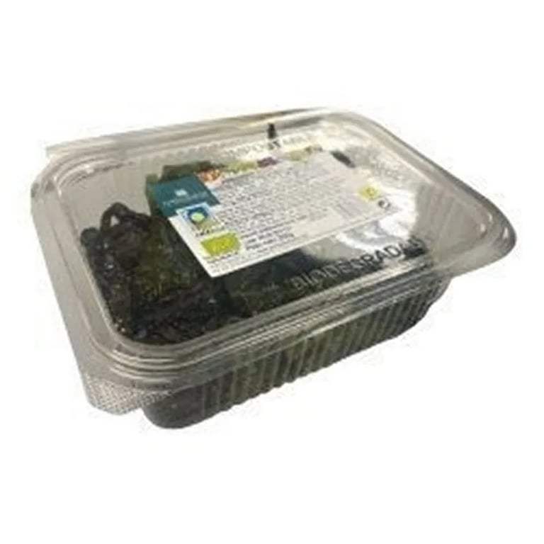 Salada De Algas Em Salmoura