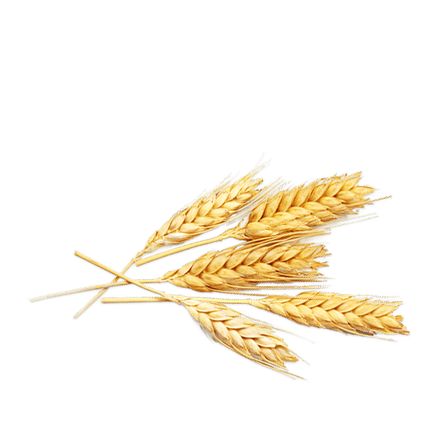 Cafe Soluble De Cereales  de NATURATA