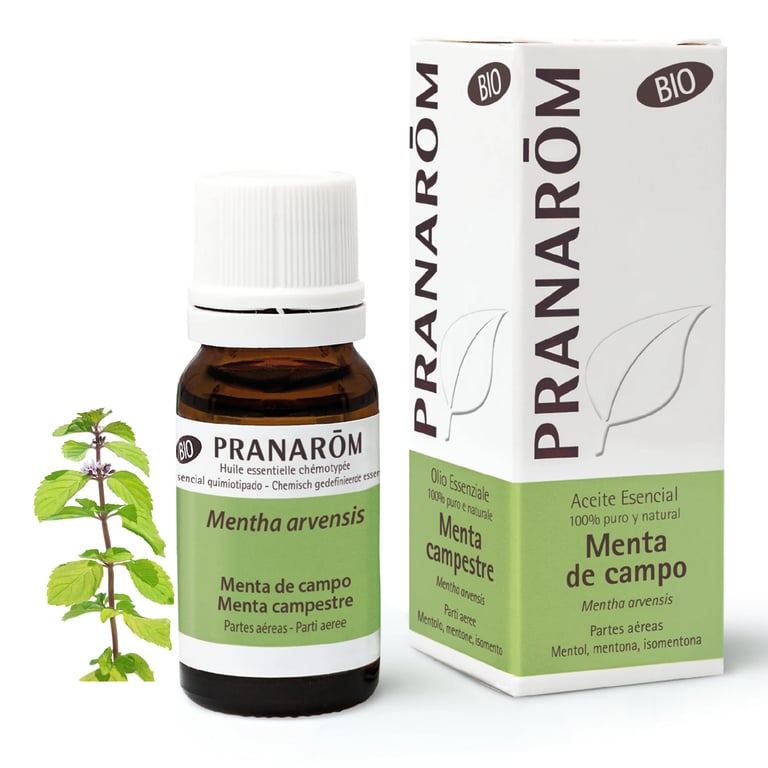 Aceite Esencial de Palmarosa - imagen 7 de 8