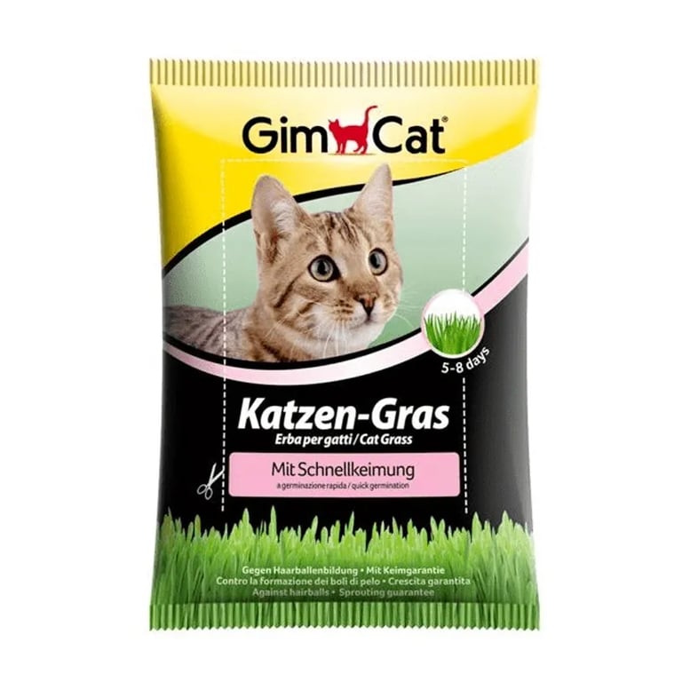 Katzen Gras Erva Para Gatos