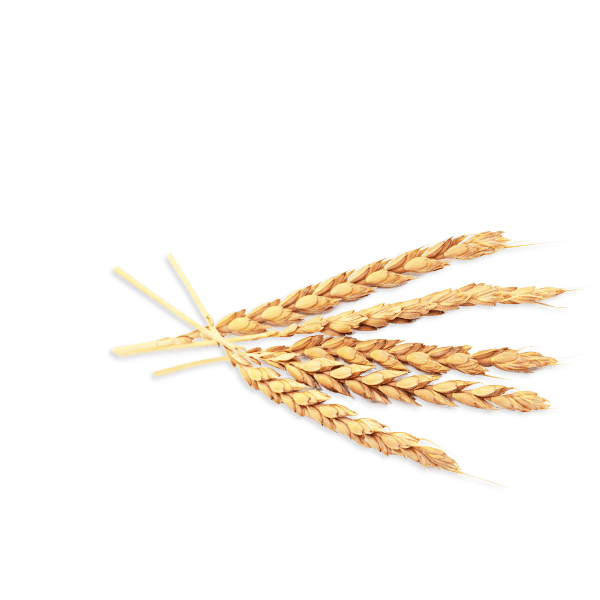 Tallarines De Espelta  de NATURATA