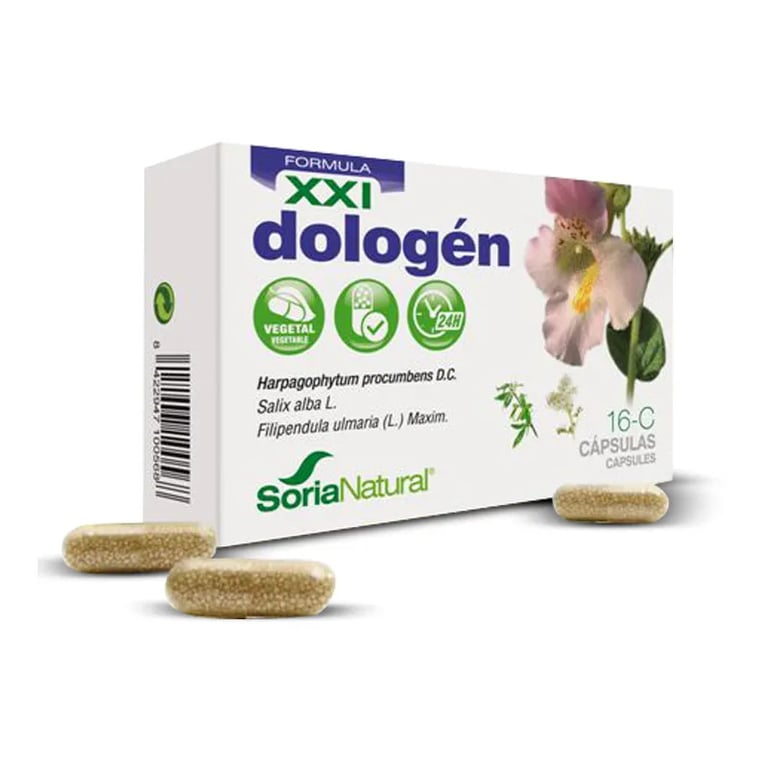 16-C Dologen XXI