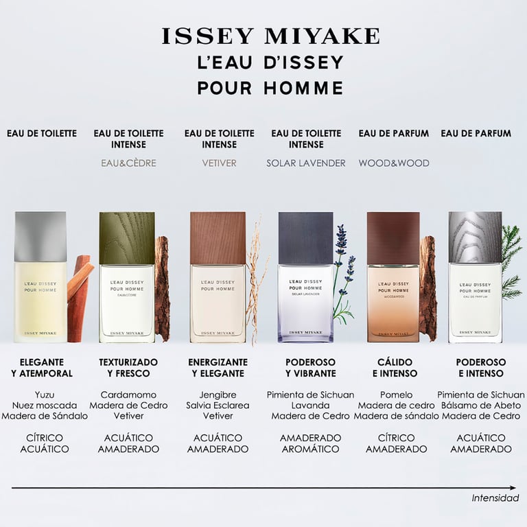 L'EAU D'ISSEY HOMME EDT VAPORIZADOR 125 ML - imagen 8 de 9