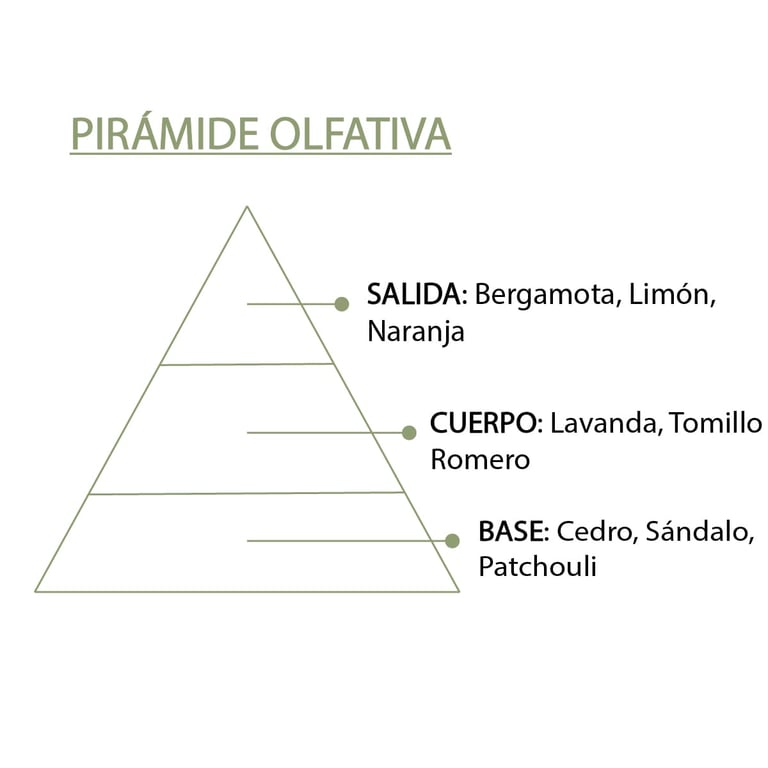 Savon Naturel Premium Cèdre Romarin - imagen 7 de 16