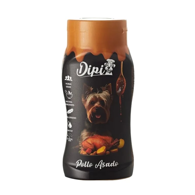 Salsa Dipi Pollo Asado