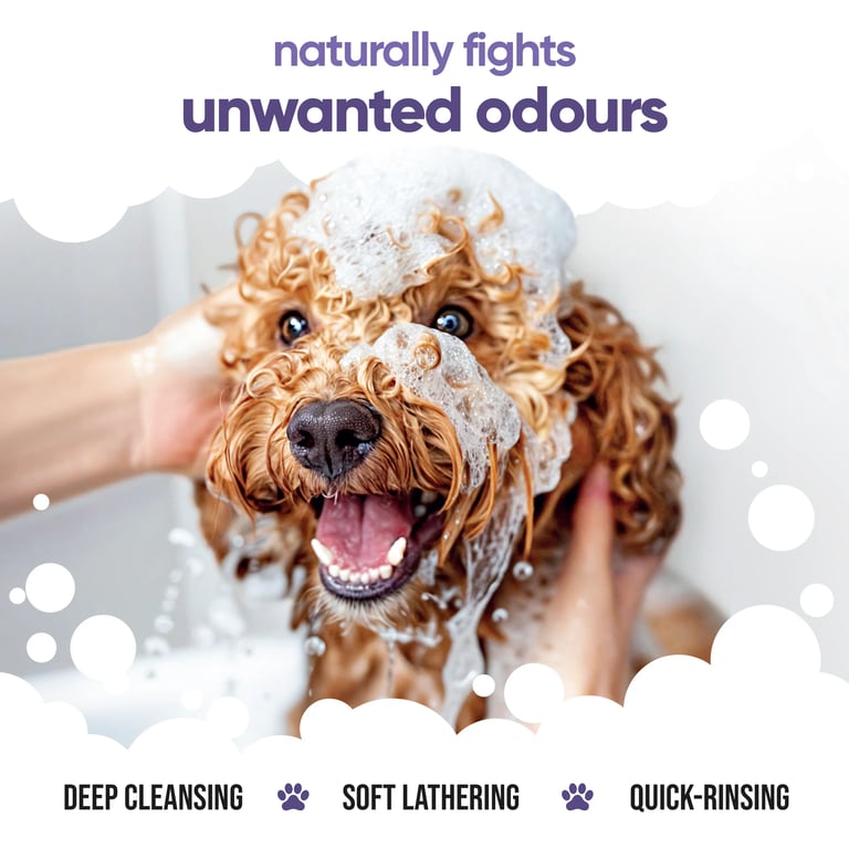 Shampoo Calmante Lavanda per Cani - imagen 6 de 8
