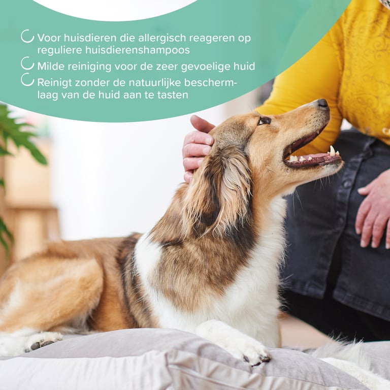 Champú Hipoalergênico Cães Gatos - imagen 5 de 5
