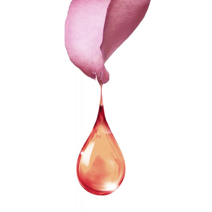 Color Sensation #6.0 Loiro Escuro da Garnier
