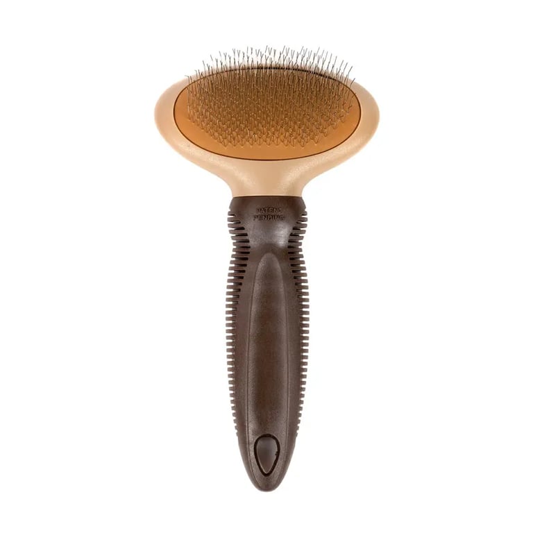 Petite Brosse Ovale