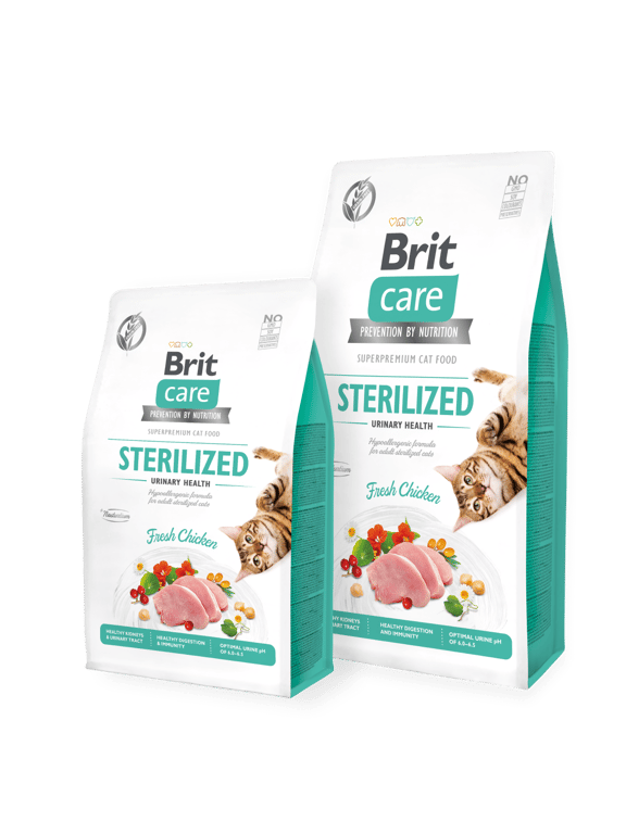Veterinary Cat Sterilised - imagen 5 de 11