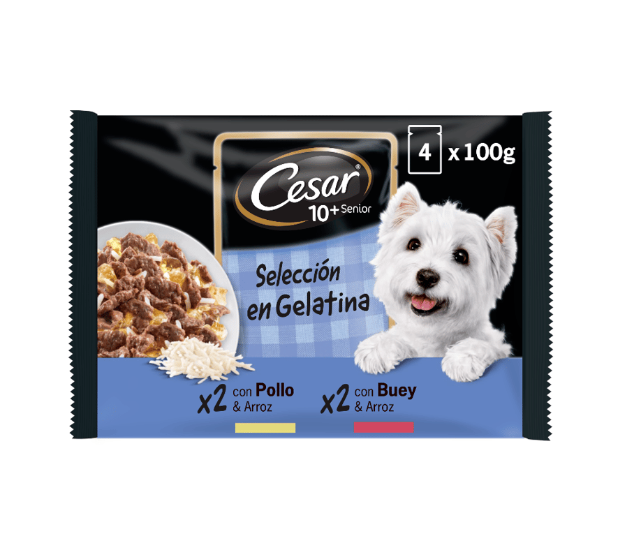 Senior 10+ Selección en Gelatina Pouch