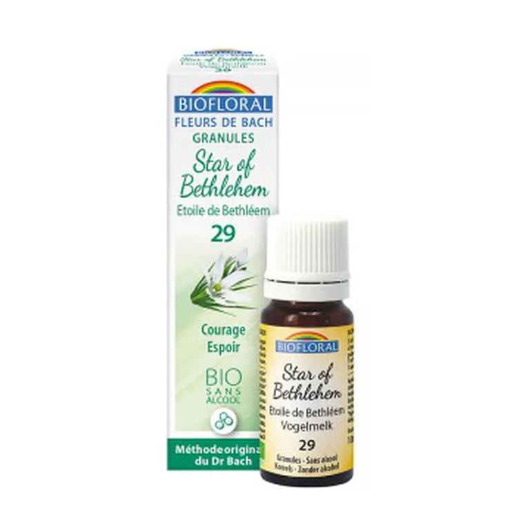 Olio di Fiori di Bach Stella di Betlemme 29 Bio