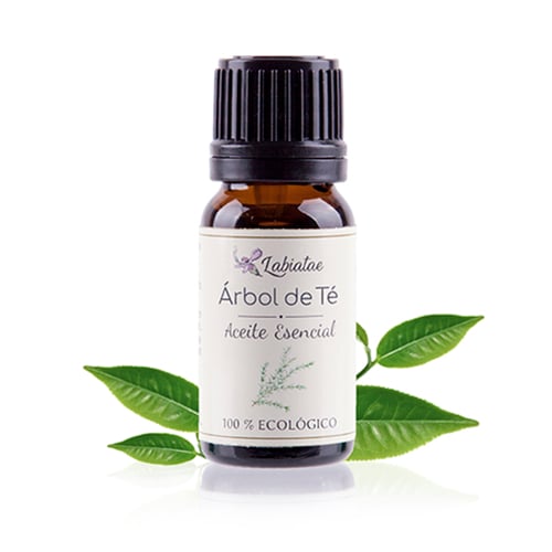Aceite Esencial de Árbol de Té