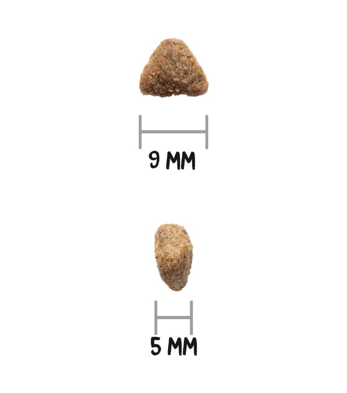 Care Hypoallergenic Pienso Gato - imagen 4 de 4