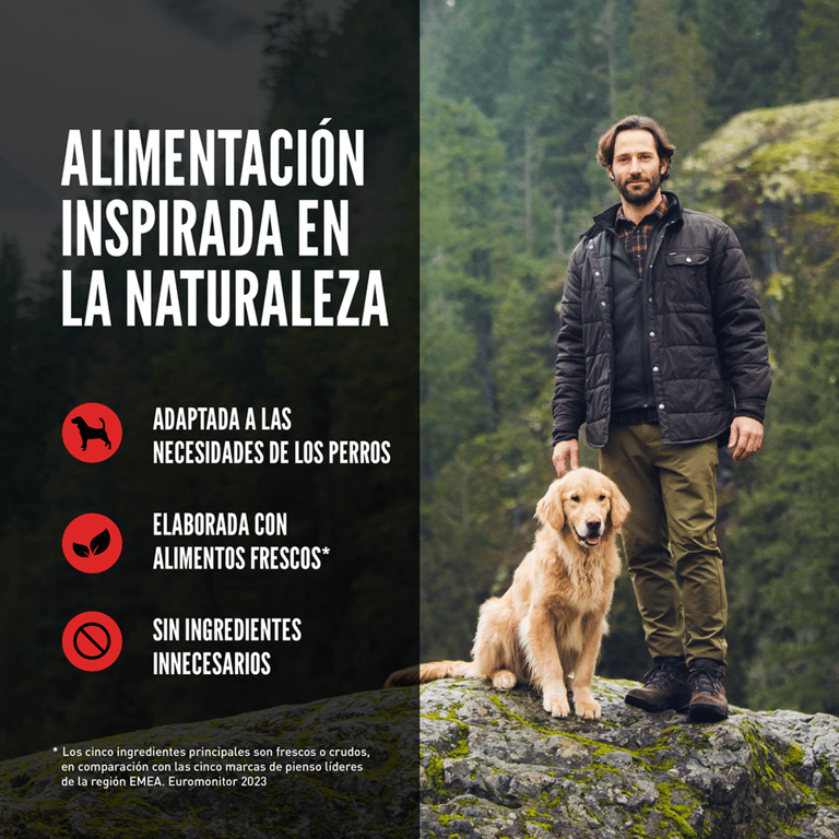 Dry Senior Dog - imagen 12 de 15