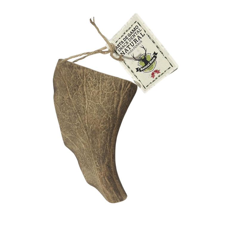 Asta de Gamo Natural Horn L