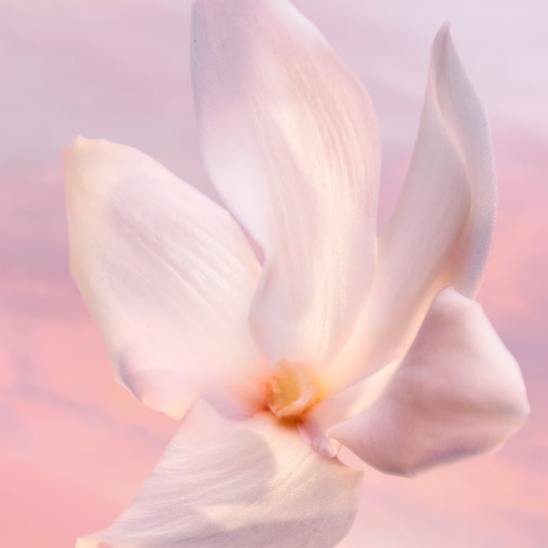 La Vie Est Belle Vanille Nude EDP 50 ml da Lancôme