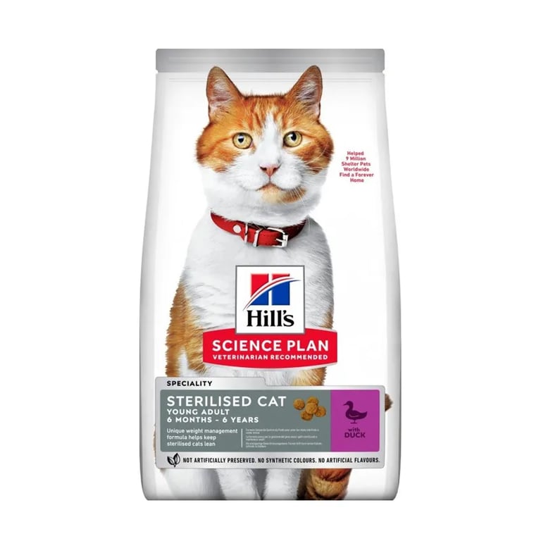 Chat Adult Young Sterilised Canard
