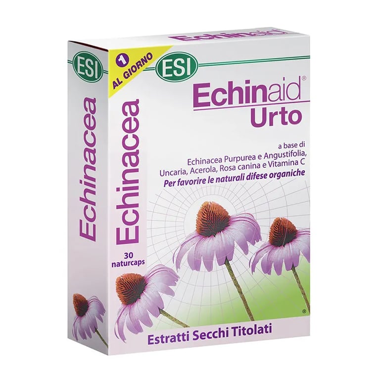 Echinaid Urto Equinacea Defensas
