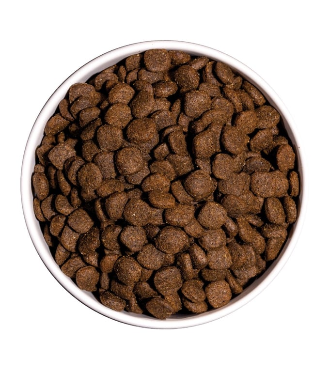 Ultra Medium Junior Dog - imagen 3 de 4