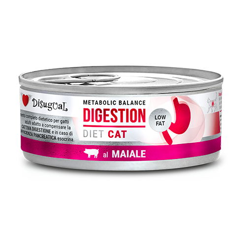 Low Fat Digestión Cerdo