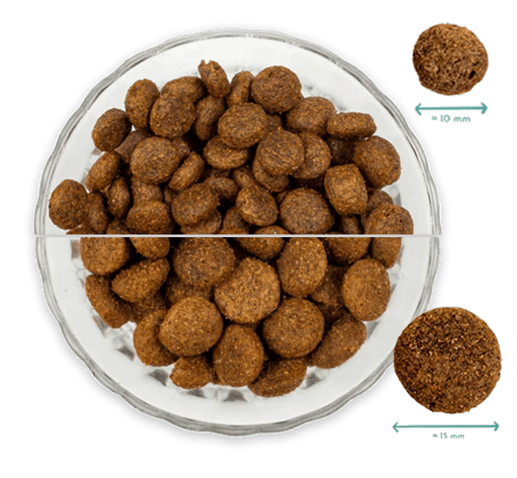 Natürliches Lachs Hundefutter Adult - imagen 6 de 9