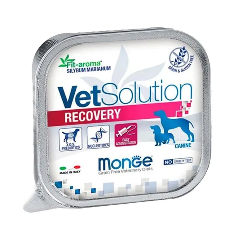 Recovery Dog