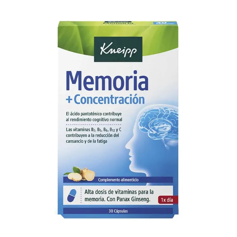 Gedächtnis + Konzentration Panax Ginseng