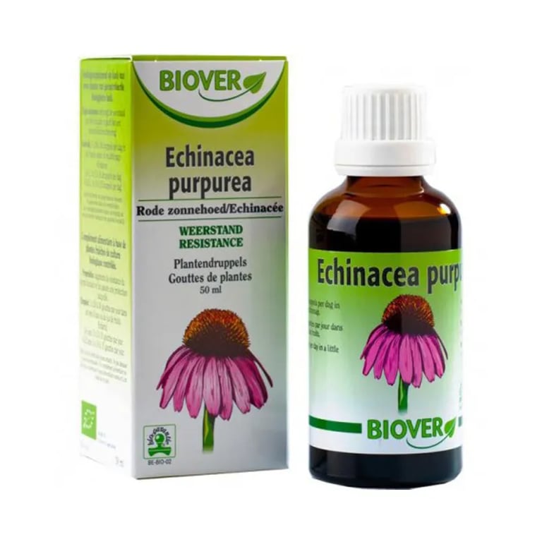 Echinacea Purpurea Equinácea