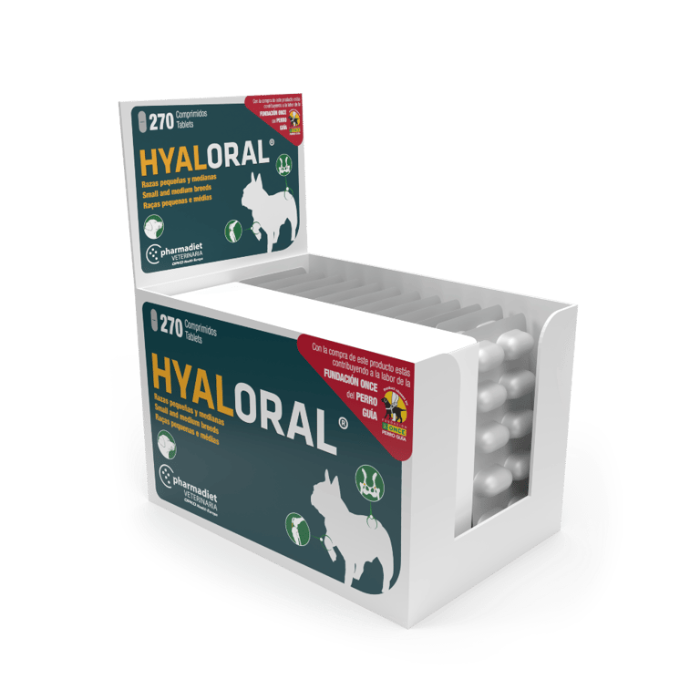 Hyaloral Hund Kleine Mittlere Rassen