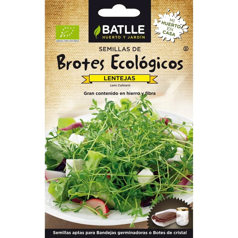 Pousses Lentilles Germer Éco