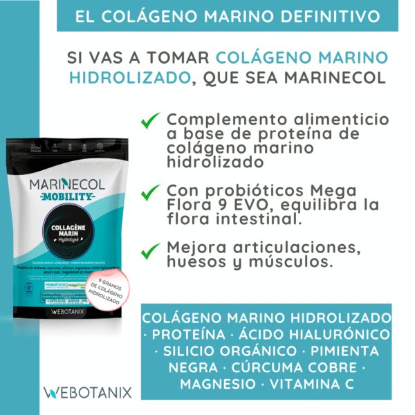 Mobility - imagen 4 de 13