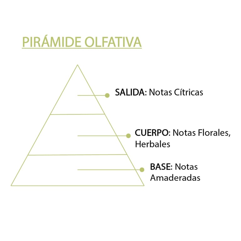 Esencia Lemon Grass - imagen 7 de 8