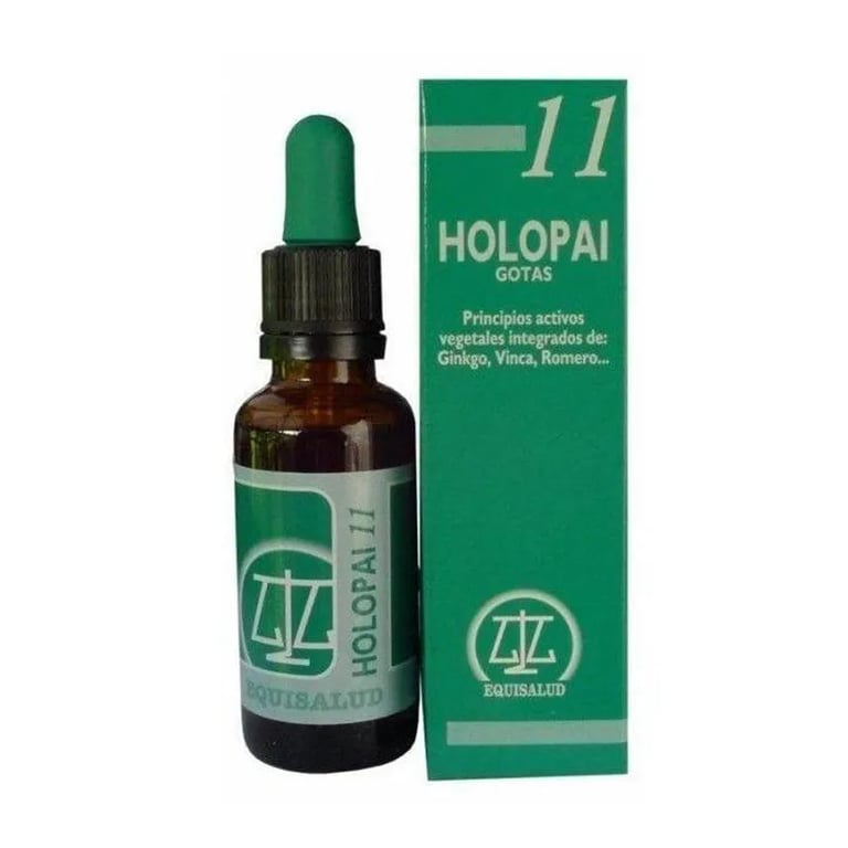 Holopai 11 Zirkulation im Gehirn
